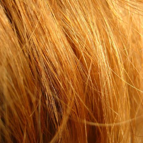 Github Cleanroommc Cleanroom Cleanroom Minecraft - High Quality Geometric Pattern - Mobile