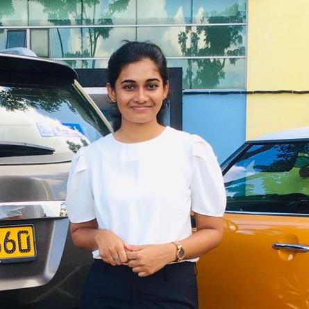 Imasha63 Imasha Perera Github - Best Mountain Illustrations in 4K