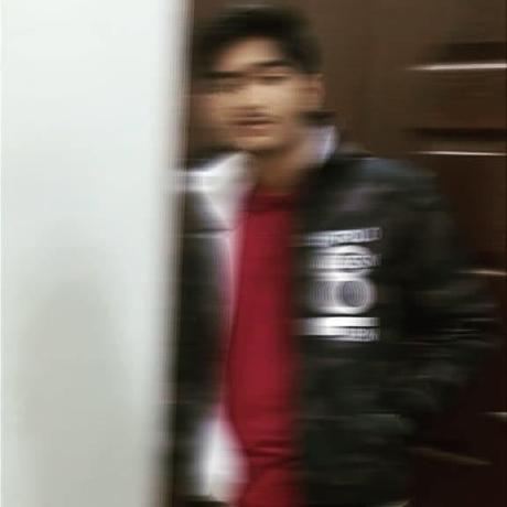 Aalleejustadev Ali Murtaza Github - Premium Nature Texture Gallery - 8K