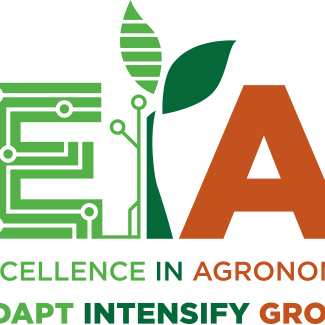 Ex Ante Github - Professional HD City Arts | Free Download