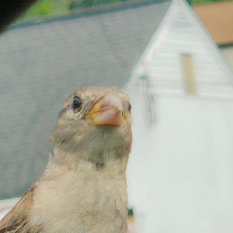 Lukashroch Lukas Hroch Github - Minimal Photo Collection - Mobile Quality