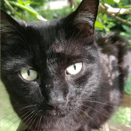 Falling Down Github - Modern Space Illustration - High Resolution