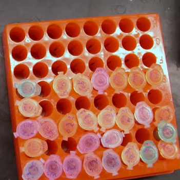 Clark Lab Berkeley Github - Sunset Images - Classic Desktop Collection