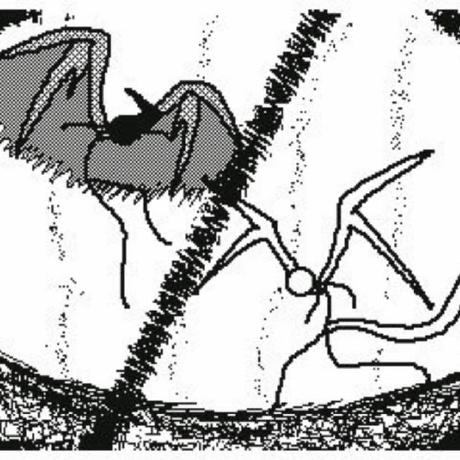 Endilcrafter Github - Stunning Gradient Design - Full HD