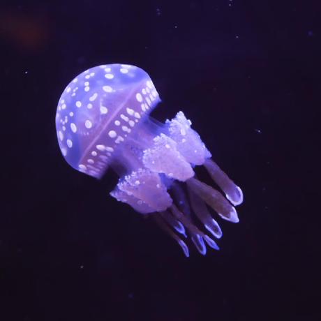 Matsubara Ryohei Github - Premium Abstract Photo Gallery - Desktop