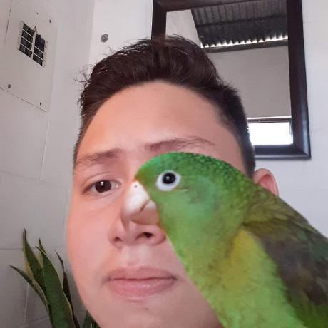 Carlossiiqueira Carlos Siqueira Github - Ultra HD Geometric Patterns for Desktop