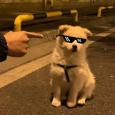 Niu Li Github - Download Artistic Gradient Background | HD