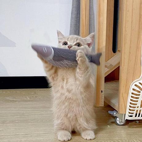 Aermin Github - City Pattern Collection - HD Quality