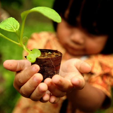 Foresight Sh Foresight Solutions Hub Github - Download High Quality Landscape Wallpaper | HD