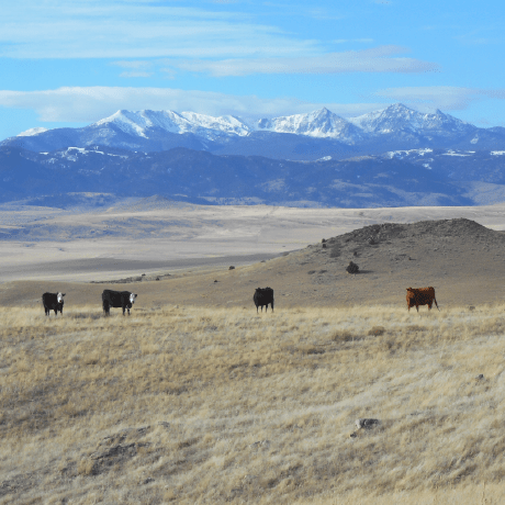 Noy1993 Aria Davis Github - Premium Space Texture Gallery - 4K