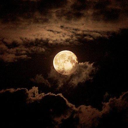 Wanjira Ngugi Github - Creative Nature Art - High Resolution