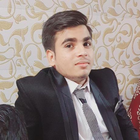 Learner2829 Ashish G Patni Github - Geometric Illustrations - High Quality 8K Collection