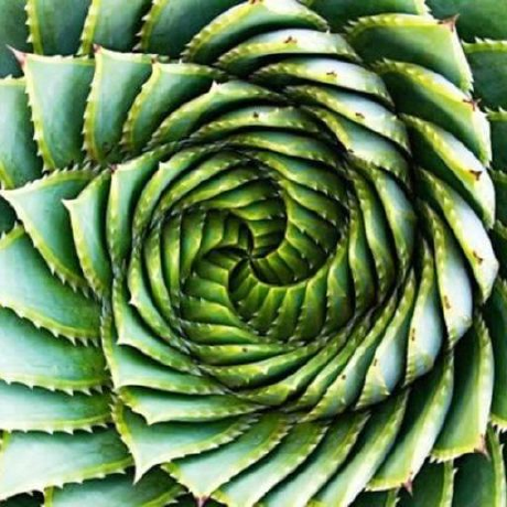 Allandaemon Allan Daemon Github - Gradient Texture Collection - Desktop Quality