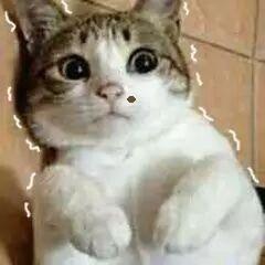 Issue 285 Liangjingkanji Brv Github - Gradient Wallpapers - Modern 4K Collection