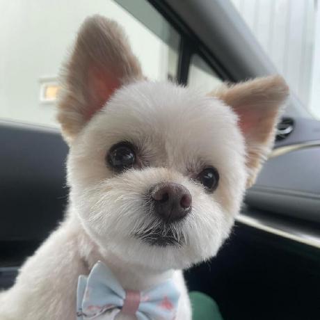 Github Vebb374 Hayase Extensions - Best Light Wallpapers in Full HD