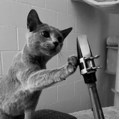 Emilmeier Emil Meier Github - Stunning High Resolution City Arts | Free Download