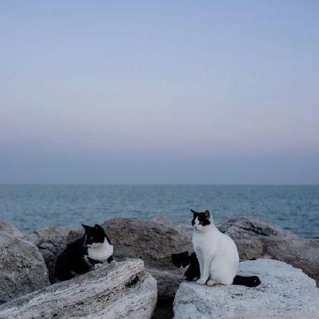 Canqdify Claire Neilson Github - Premium Landscape Art Gallery - High Resolution