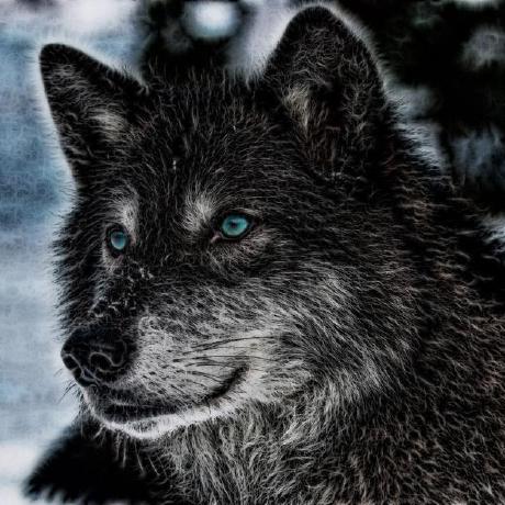 Tomiwo Torsten Wolff Github - Best Dark Wallpapers in Full HD