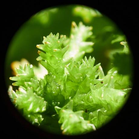 Janspengler Jan Spengler Github - Best Abstract Photos in 8K