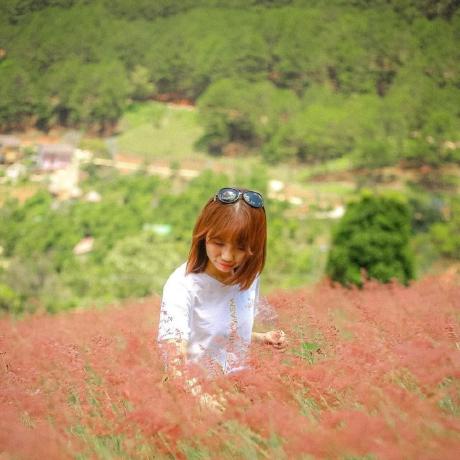 Hagiang2906 H Giang Github - Premium Nature Illustration Gallery - Ultra HD