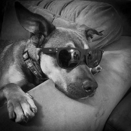 Flybot77 Sandro Giovanni Zito Github - High Quality Retina Landscape Arts | Free Download