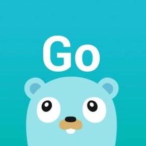 GitHub - Shockerli/go-awesome: Go 语言优秀资源整理，为项目落地加速🏃