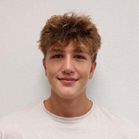 Fanks4 Simon Fankhauser Github - Premium Geometric Photo Gallery - 4K