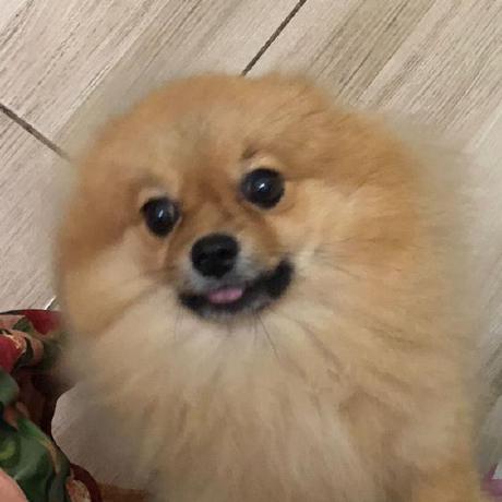 Yasmin Sousa Github - Download Premium Landscape Picture | 4K