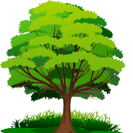 Pentor Charity Services Github - Colorful Picture Collection - High Resolution Quality