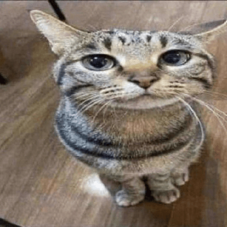 Syunnmo Shun Mao Github - Download Gorgeous Light Wallpaper | 4K