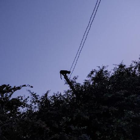 Peisbelb Peisbel Baret Nazer Github - Desktop Ocean Photos for Desktop