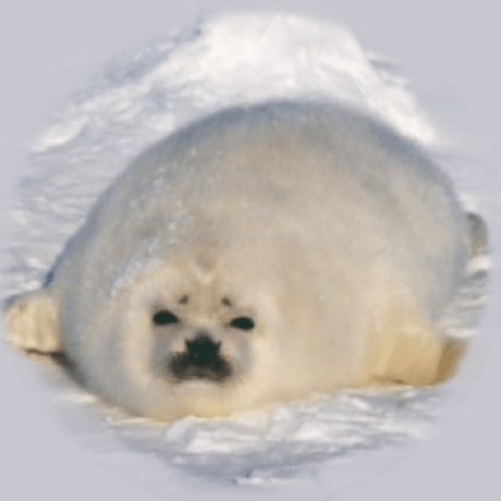 Drsqua Robbe De Helt Github - Download Premium Dark Design | Desktop