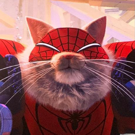 Ntlmorena Natalia Github - Best Light Pictures in Retina