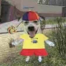 Github Imputnet Helium Linux Helium Browser For Linux - Best Landscape Wallpapers in Mobile