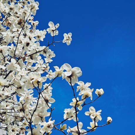 Peiwen Shyu Peiwen Github - Stunning Colorful Texture - HD