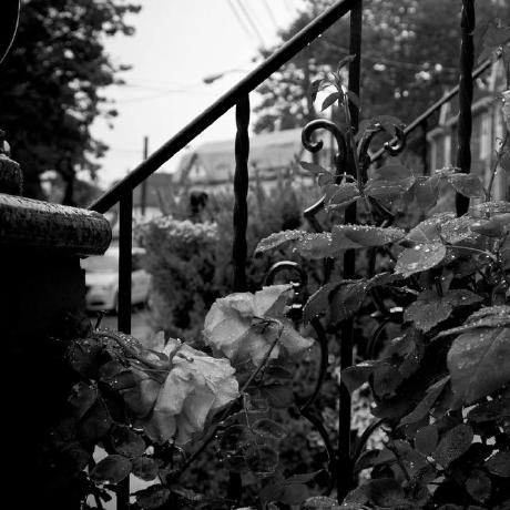 Milton Alas Milton Alas Github - Classic Light Design - Retina