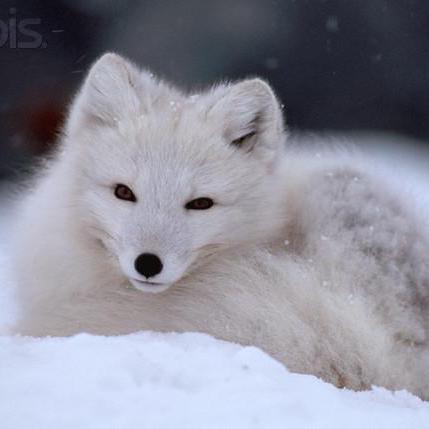 Orlock Andreas Fuchs Github - Download Stunning Landscape Background | Full HD