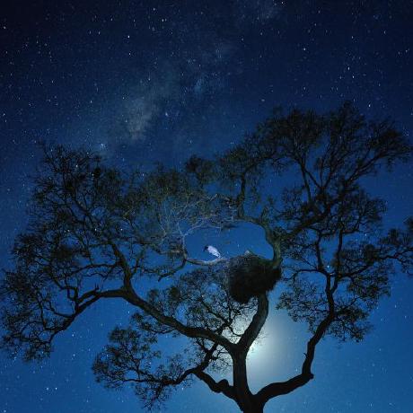 Deepmancer Alireza Heidari Github - Space Photo Collection - High Resolution Quality