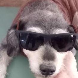 Heinrich Arbeitsschutz Github - Premium Mountain Photo - HD