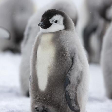 Github Melisa Mugure Basic - 4K Geometric Textures for Desktop