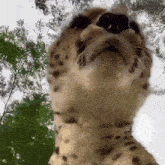 Releases Alephgsm Samsung Edl Loaders Github - Landscape Backgrounds - Gorgeous 4K Collection