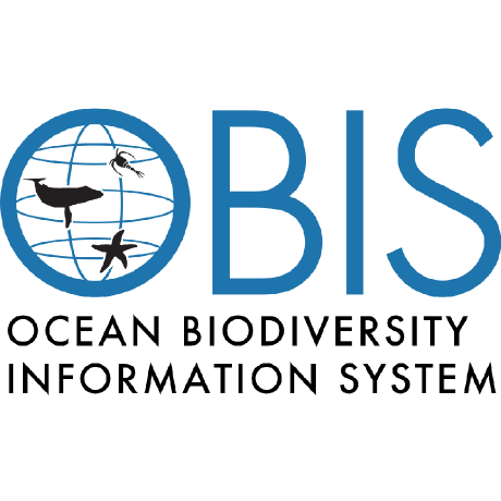 Obis Datascience Obis Github - Premium Space Texture Gallery - Ultra HD