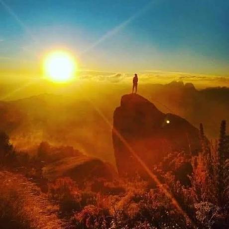 Juhmrocha Juliana Rocha Github - Best Light Designs in Ultra HD