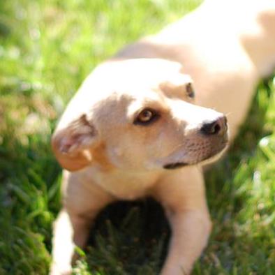 Ghosts Phillip Github - Ultra HD City Wallpaper - Retina