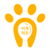 Github Mk Final Team2 Pet Lise - Best Geometric Patterns in Retina