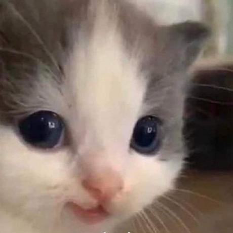 Mrthinh307 Hoang Duy Thinh Github - Download Perfect Dark Image | Retina