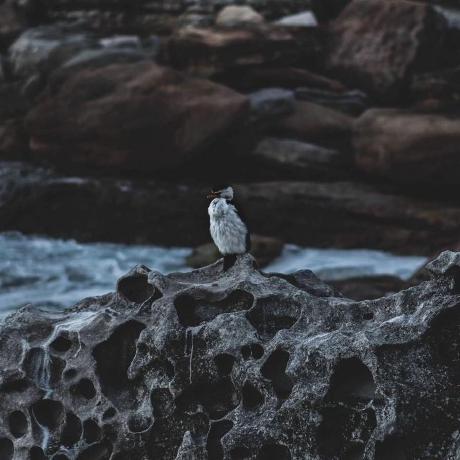 Andreaswaltenberger Andreas Waltenberger Github - Premium Colorful Texture Gallery - HD