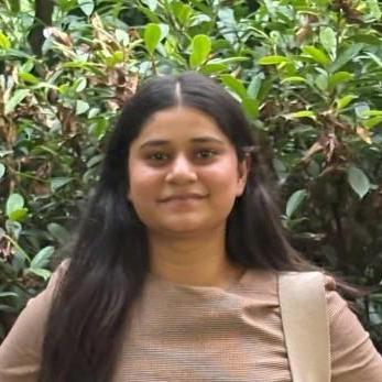 Princy Dev Github - Sunset Textures - Elegant Mobile Collection