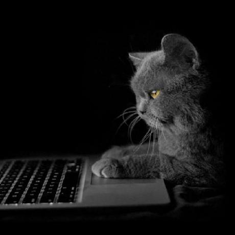 Andrew996qa Andrew Github - Light Textures - Classic Retina Collection