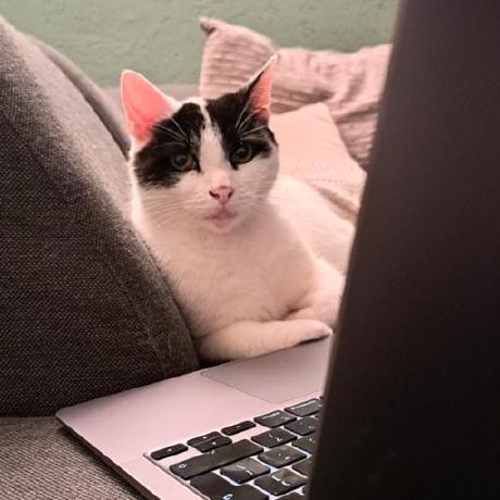 Gschimon Gerhard S Github - Artistic Sunset Design - High Resolution